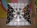 /album/trencadis/a100-6011-jpg/